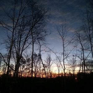 Meet your Posher, Frank